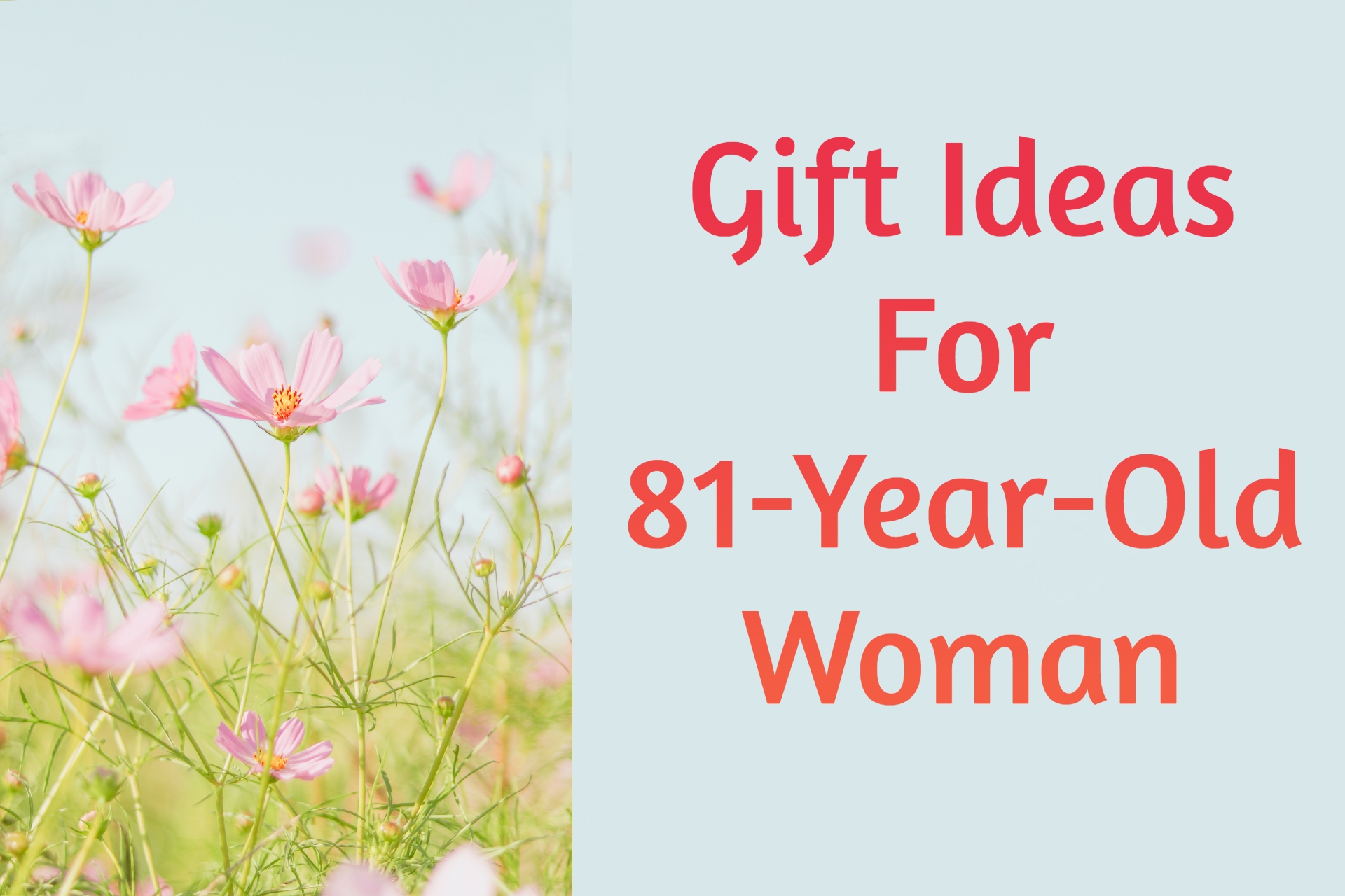 Cover image of gift ideas for 81-year-old woman by Giftsedge