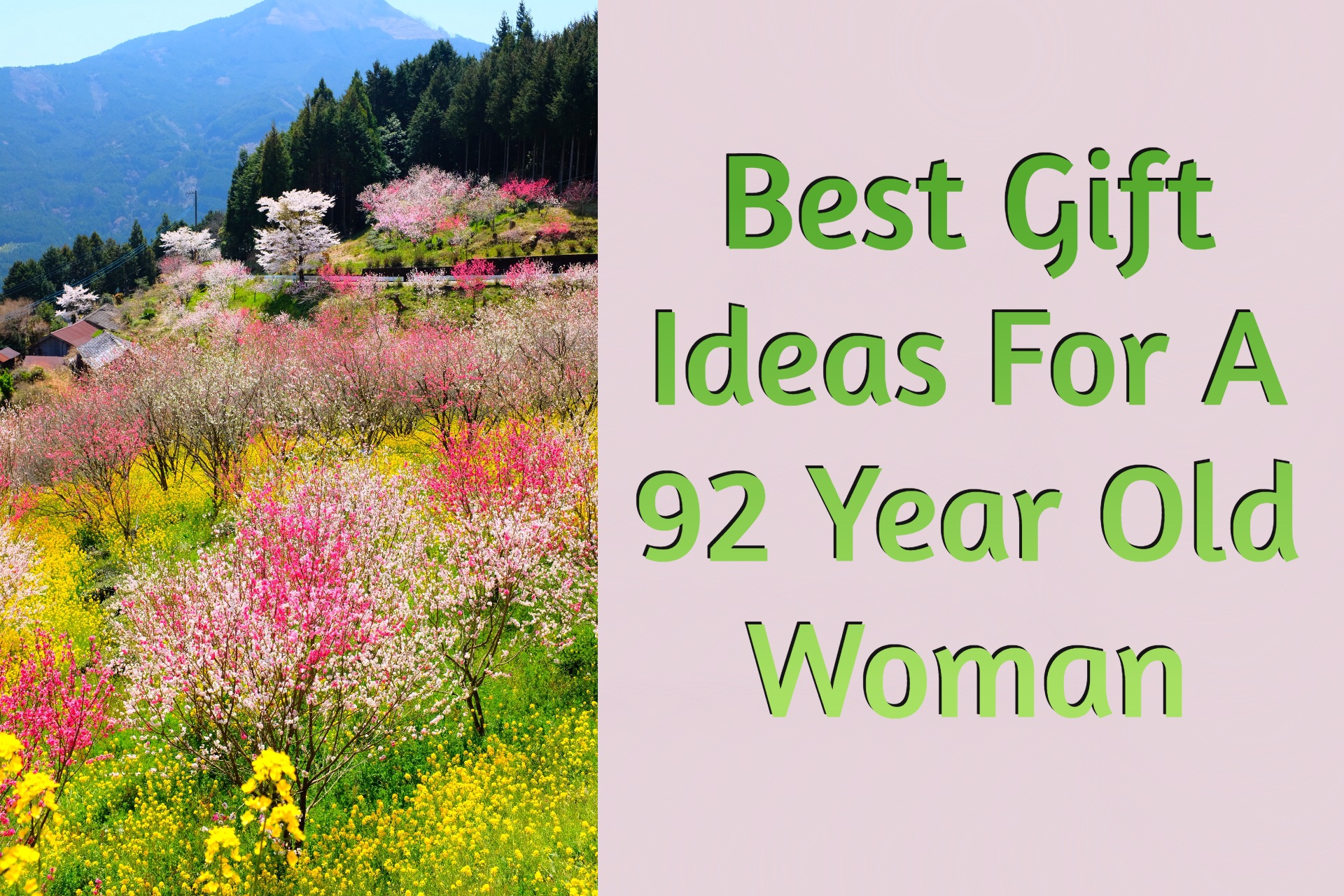 Cover image of gift ideas for 92-year-old woman by Giftsedge