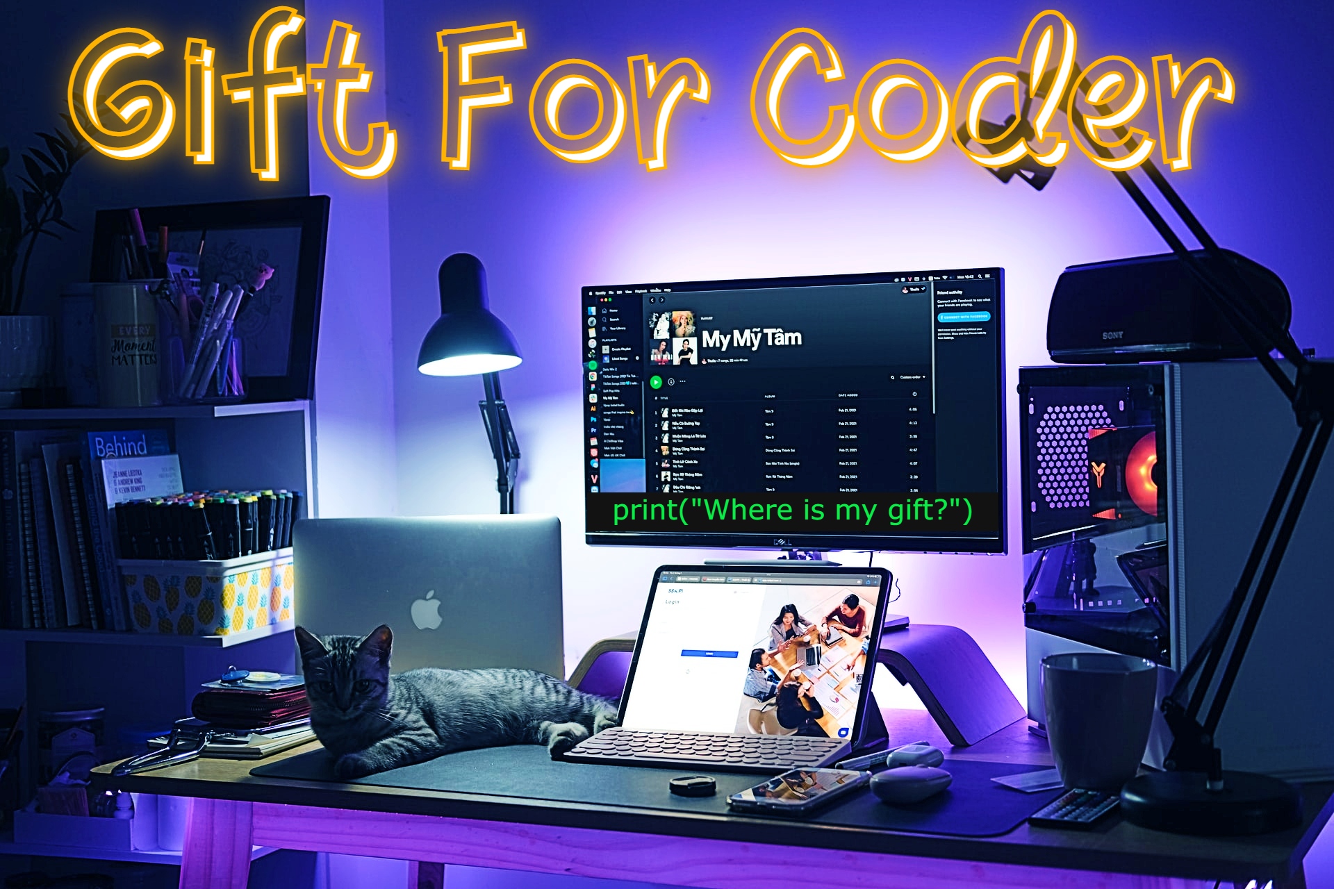 Cover image of gift ideas for coder or a software engineer